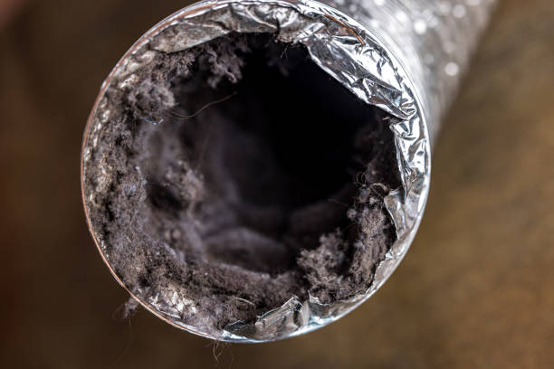 Best Local Air Duct Cleaning Services  in Stockton, UT
